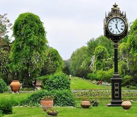C Old Center * Бухарест
